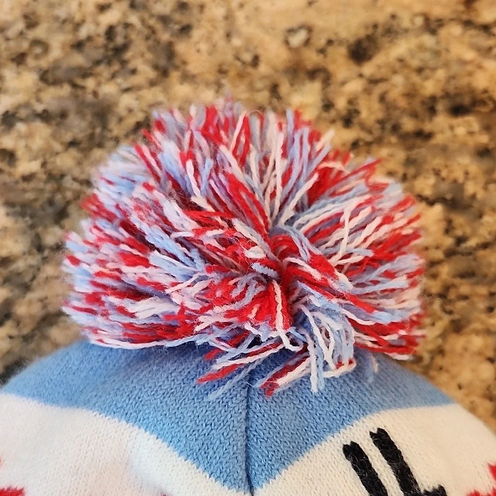 Chicago Skyline Beanie - Blue and Red‎